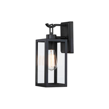 Alyssa 18" Tall  Clear Glass and Black Outdoor Wall Light Single Light