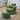 #color_green-chenille-corduroy