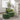 #color_green-chenille-corduroy